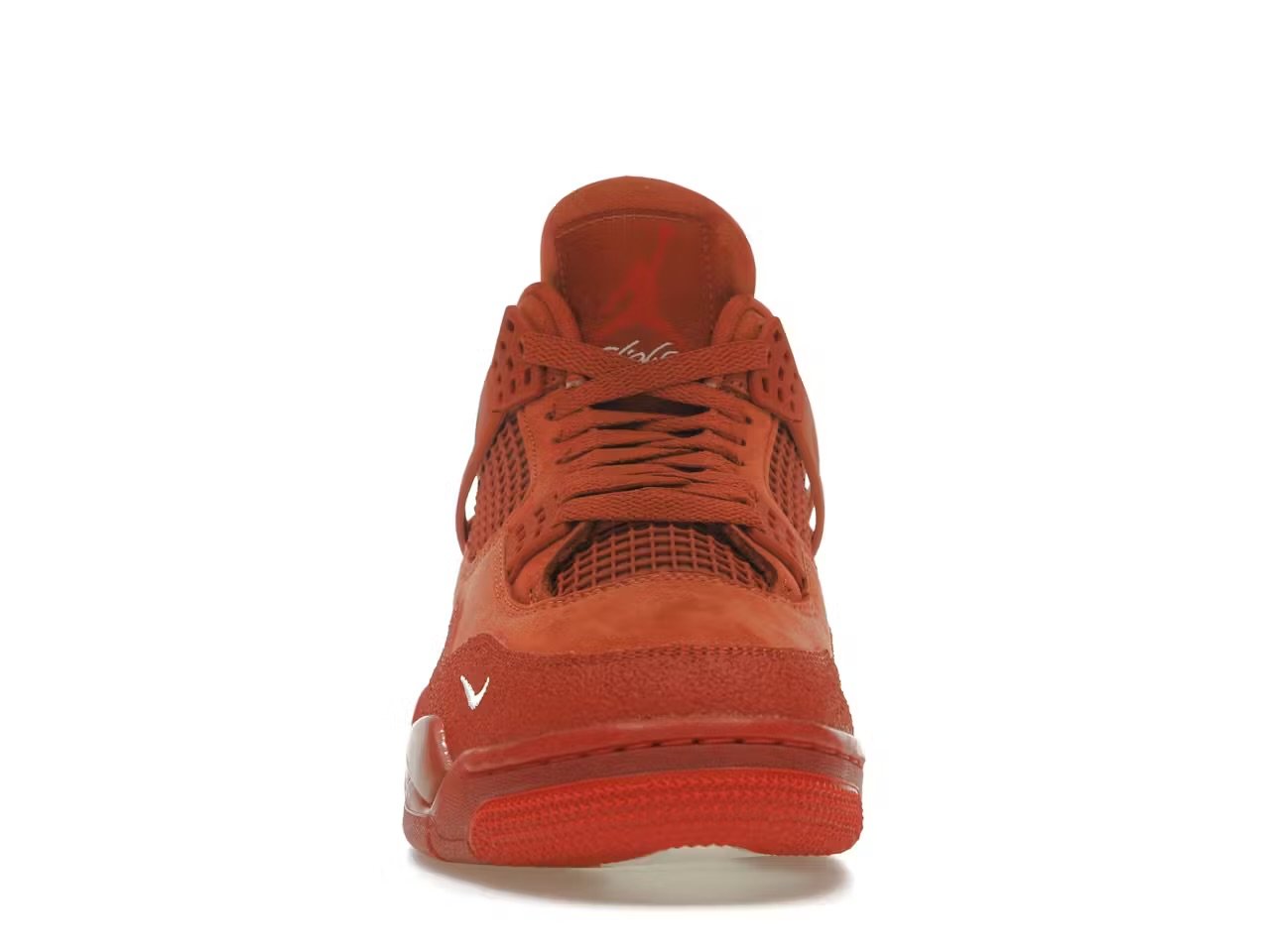 Jordan 4 Sylvester bike  4