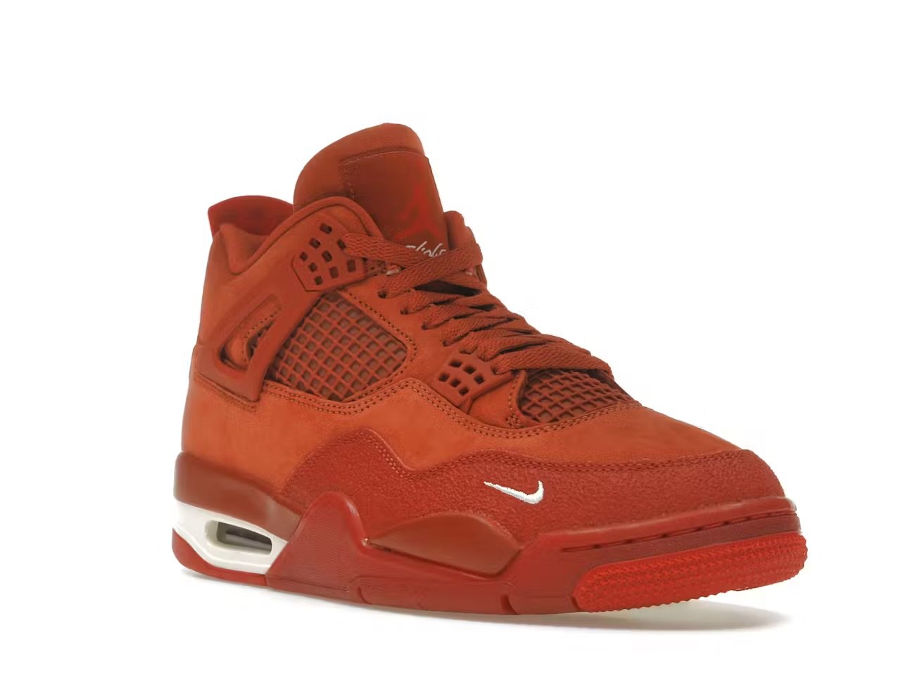 Jordan 4 Sylvester bike  6